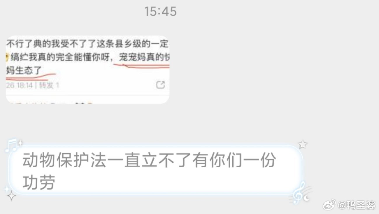 -迷惑私信鉴赏…什么叫宠宠妈？？什么叫宝宝妈？？人宠从来都不是对立的，我们呼吁的