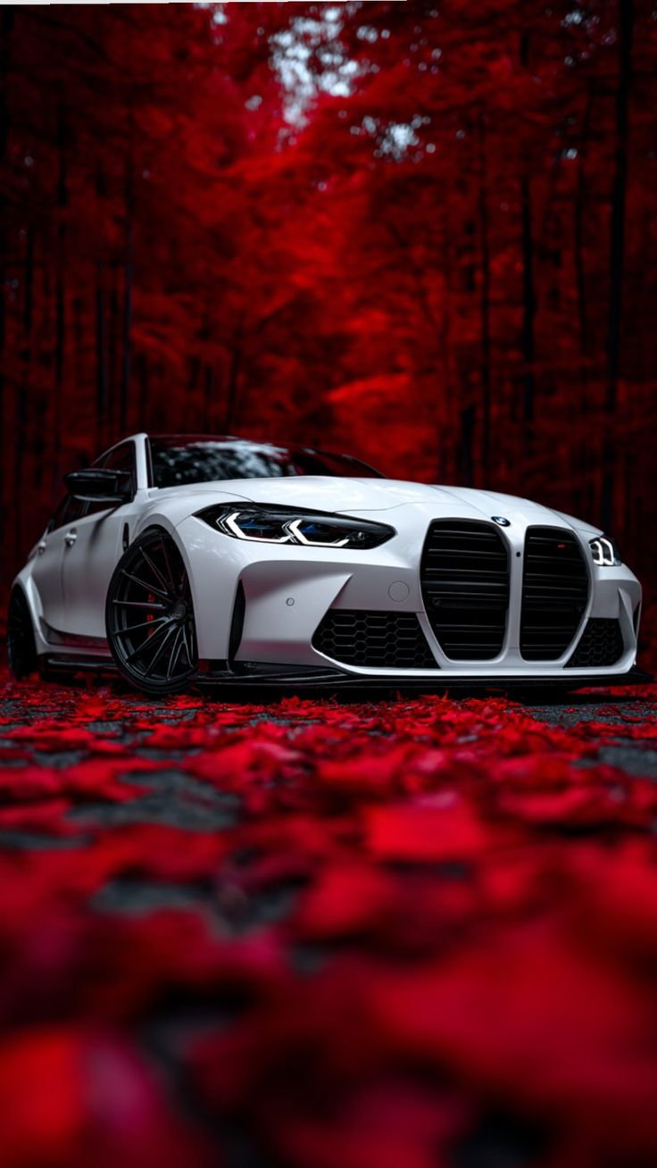 早！Bimmer手机壁纸 bmwsky