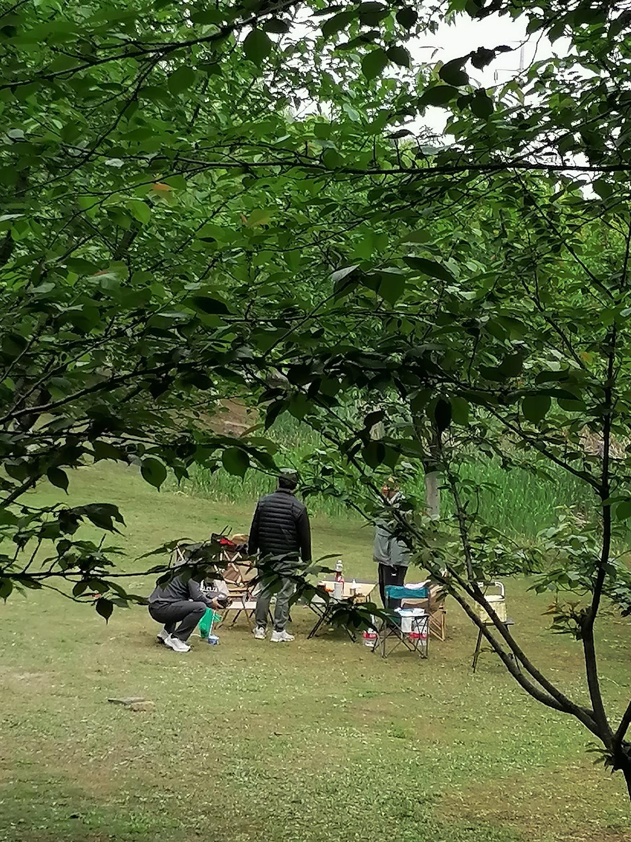 今天既不是周六，也不是周日，几个人在绿地里搭了一个帐篷，一个人躺在挂床上刷手机，