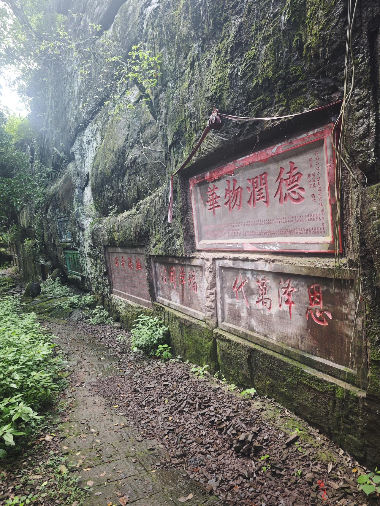 人老了，健康和钱哪个才是最大底气？这问题就像哈姆雷特的“生存还是毁灭”。年轻时，