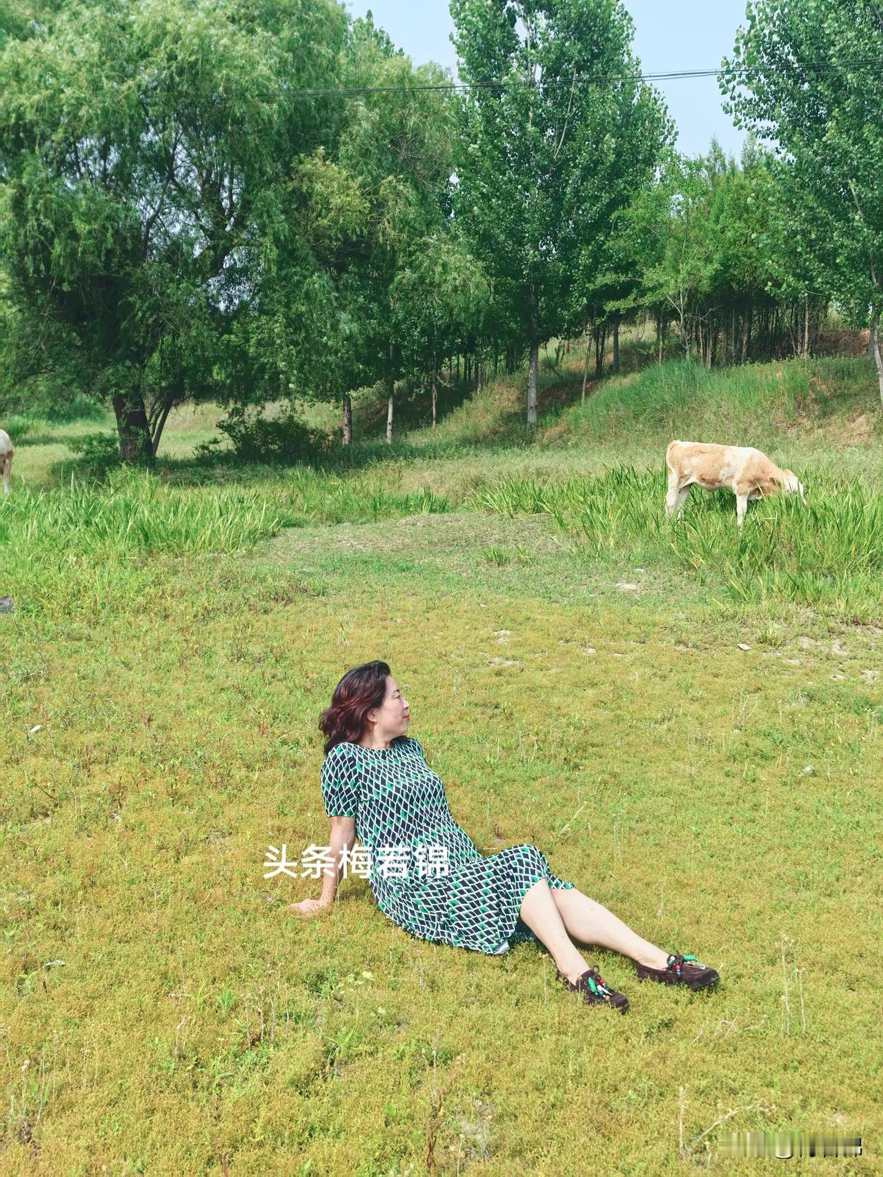有没有阿勒泰草原的味道？当心情郁闷烦躁时在此一坐，所有烦恼烟消云散，带着收获满怀