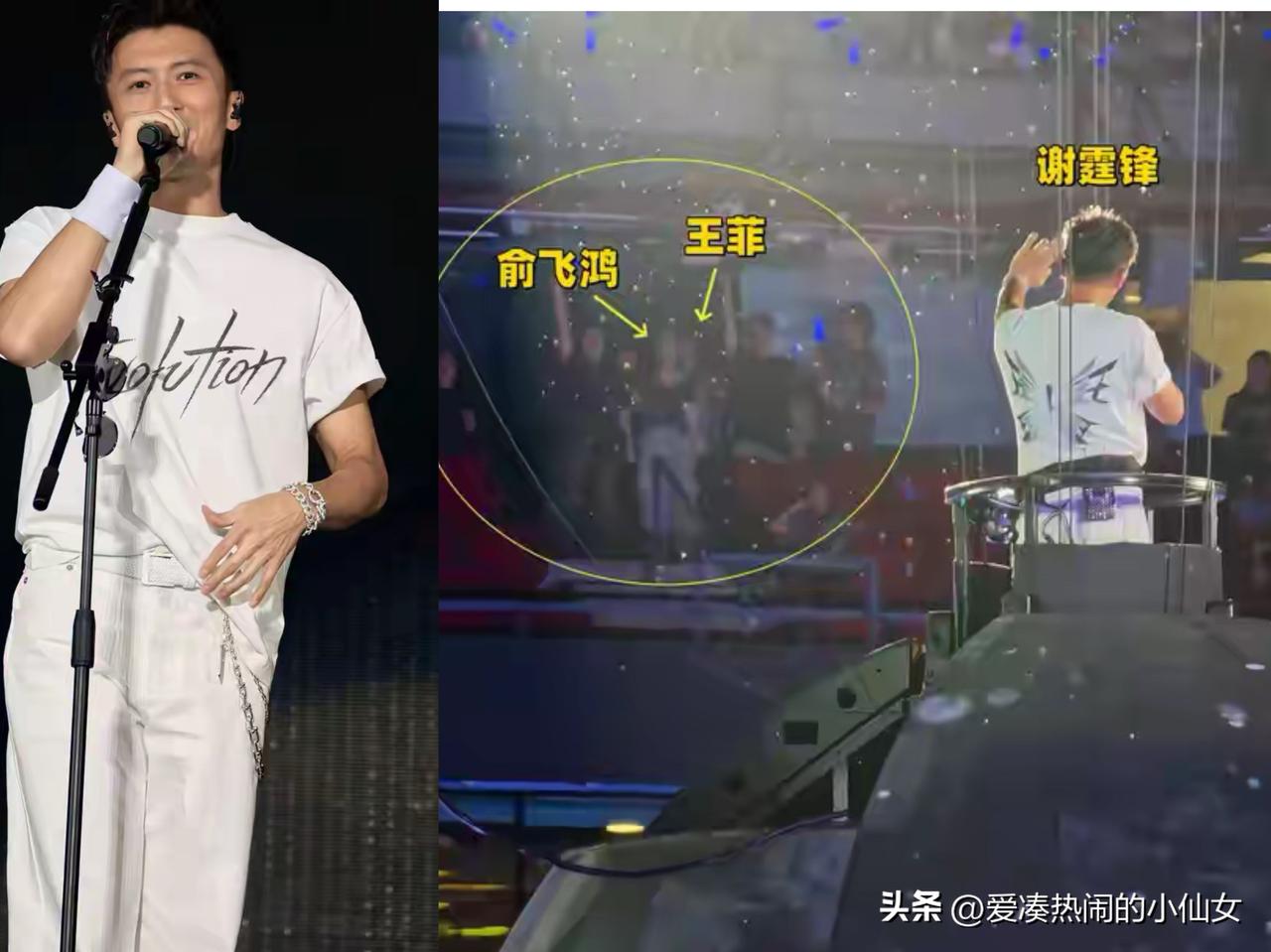 太甜了！王菲惊喜现身谢霆锋演唱会，面对镜头娇羞似少女，谢霆锋大方示爱很坦荡！
