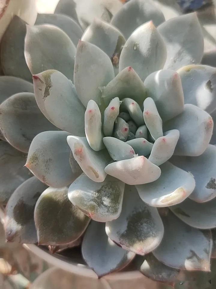 现在的难都是暂时的，低谷走一步就是上坡，熬过去就是柳暗花明，你超棒的！