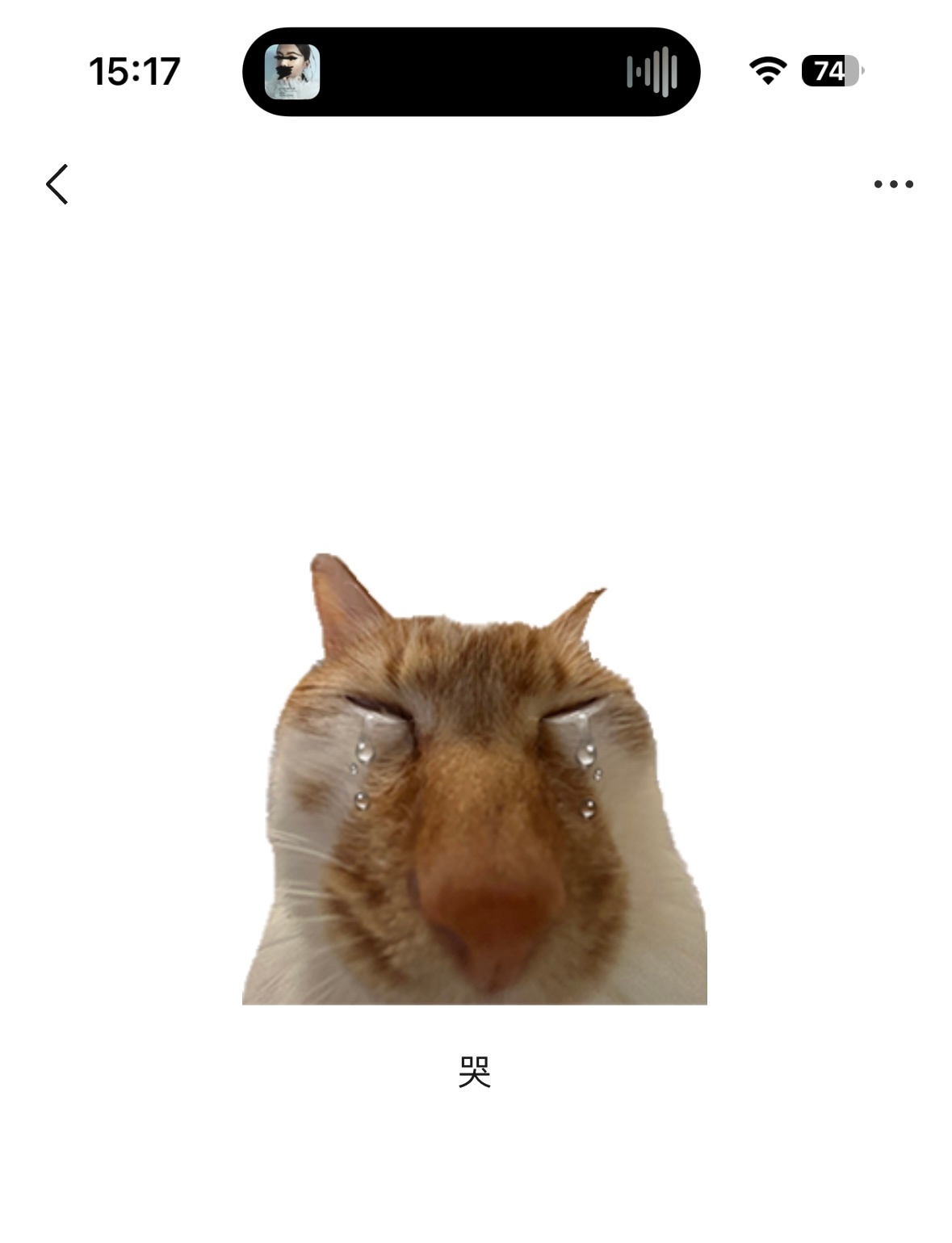 你们不要吵架了 