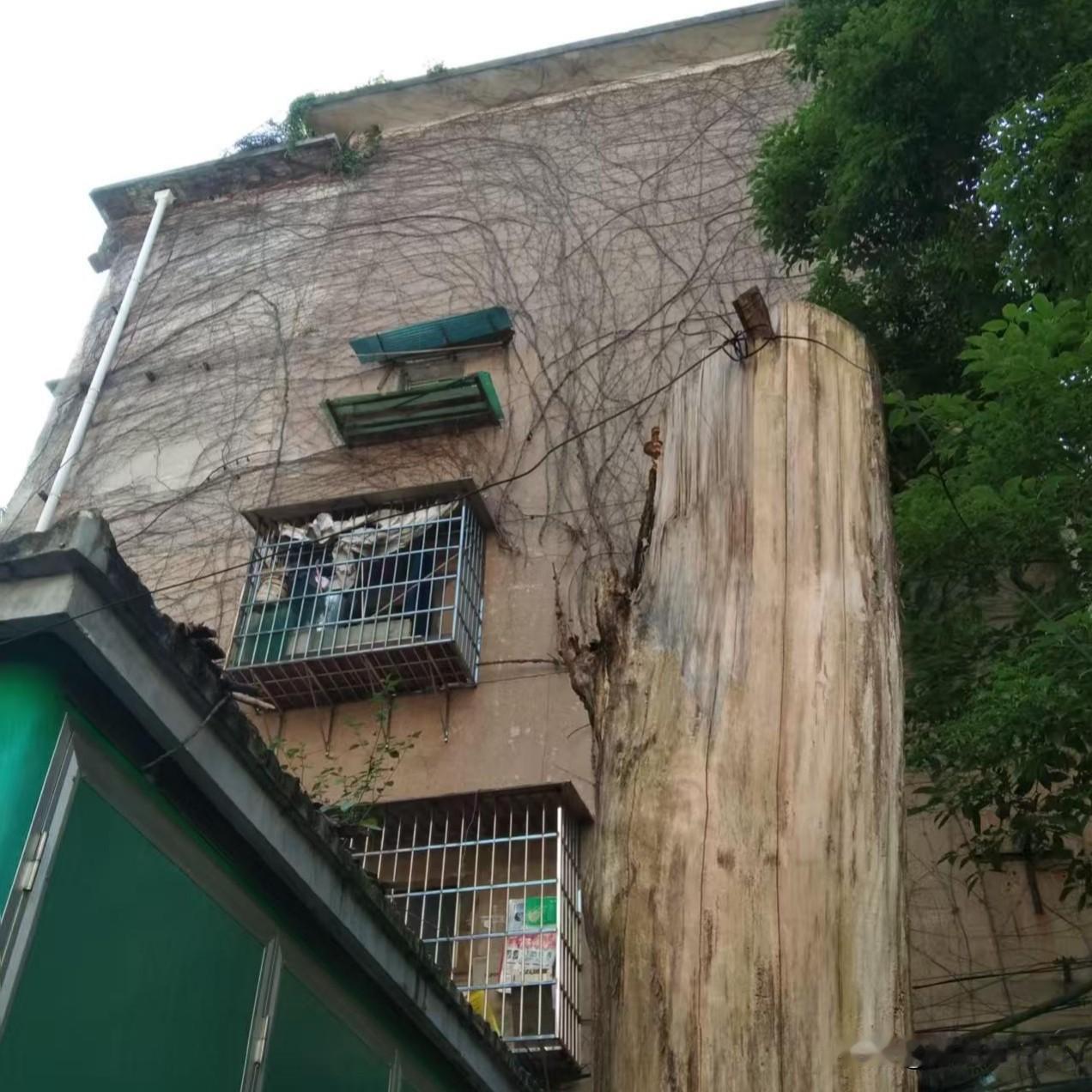今天下午的太阳好大哦。3点钟，我到社区去开会，就是参加消防安全整改会议。这一段时