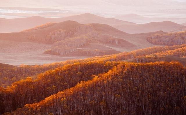 摄影小白常见十三种题材拍摄设置：从风光、人像到夜景抓拍，一篇看懂实用参数

很多
