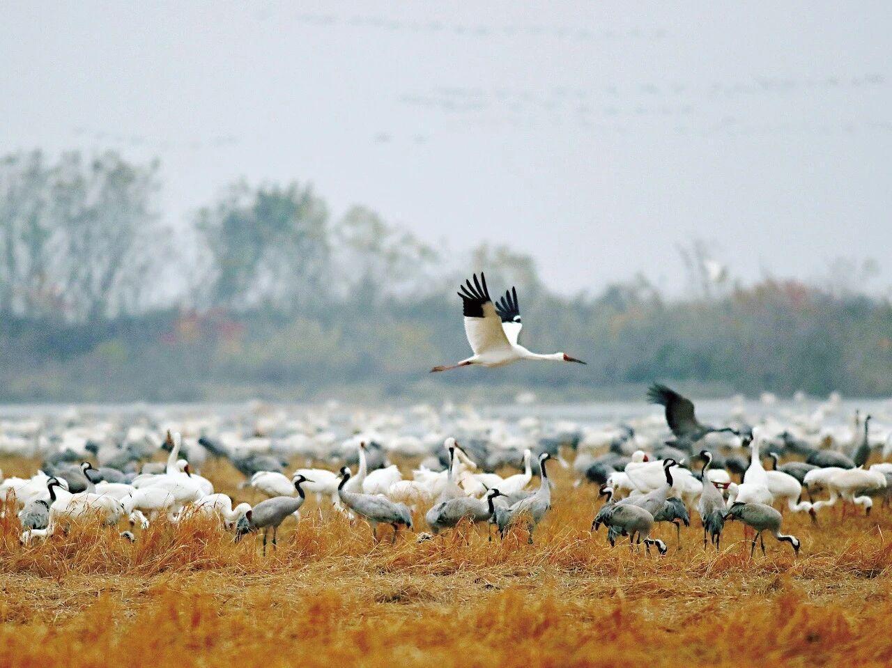 【为什么说“求助是强者的行为”】
        说“求助是强者的行为”一点没错