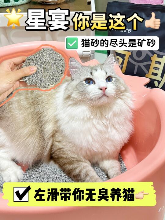 挖到宝啦❗️这到底是什么神仙矿砂啊🥹