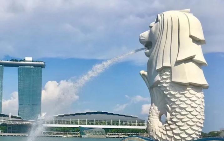 根据媒体消息，近期族群问题引起新加坡政府注意，新加坡的华人族群占70%以上，但新