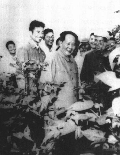 1959年9月21日，毛泽东在棉花试验田里。