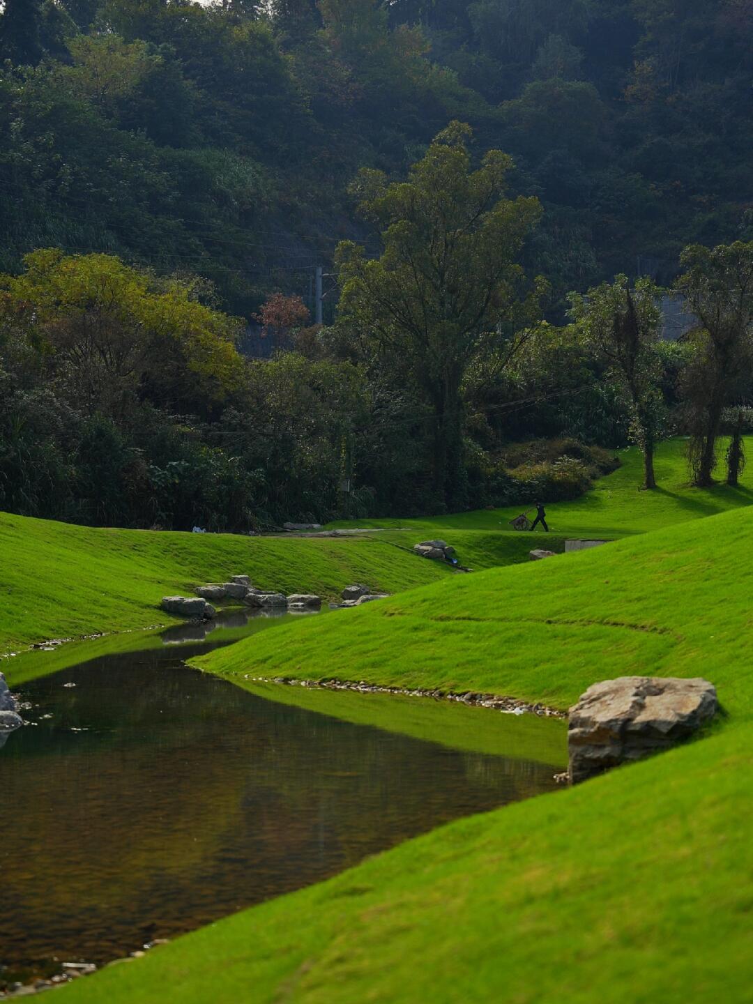 新疆同款草坪｜乐清45min🚗就可到达户外露营