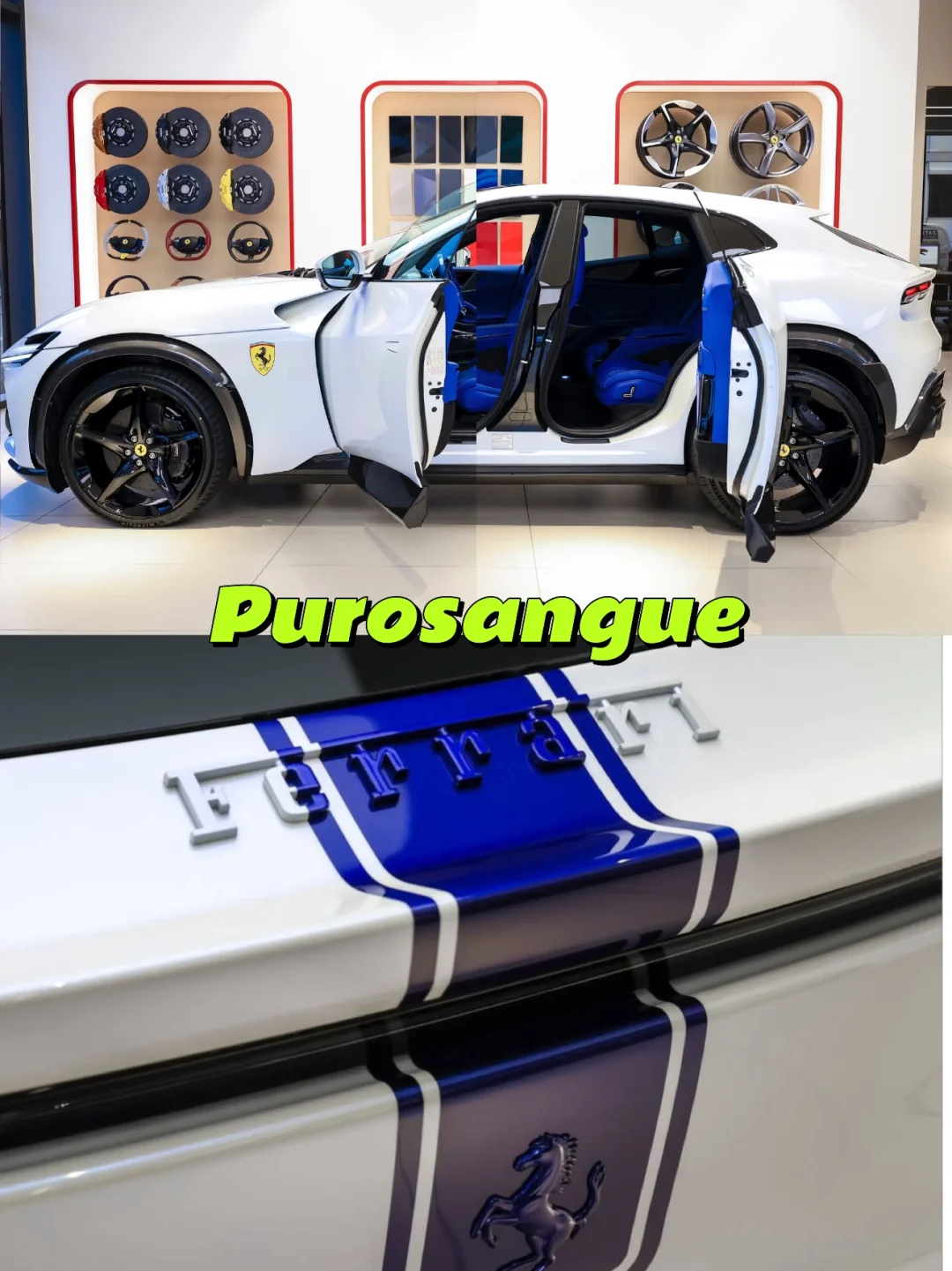 如果你买一台🏎️法拉利Purosangue会怎么选