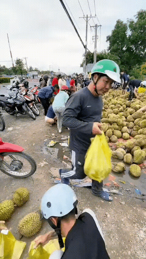 榴莲在泰国不知道是什么价格，感觉这是主产地，满大街都是这东西，价格应该贵不了，和