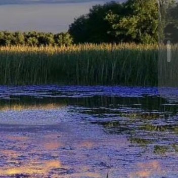 每日一善  每日一善   阳光信用 人生路上，要学会善待，善待他人，可以让人生走