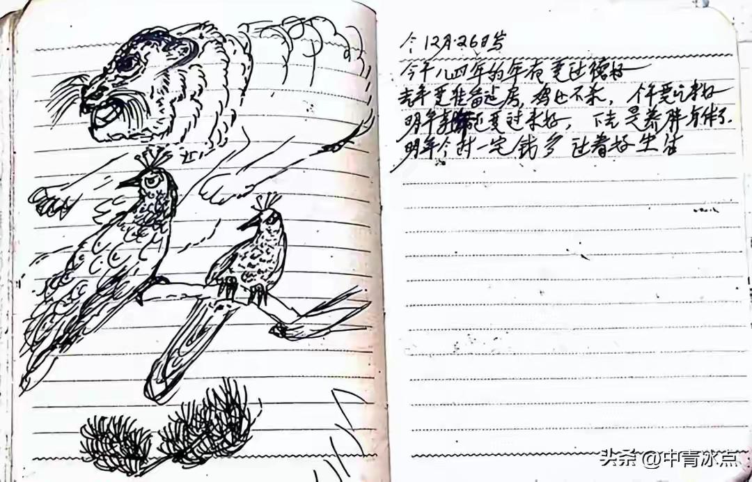 浙江农民坚持59年写日记，一天没断：笔下是家常，纸间是中国！
 
在浙江桐乡，有