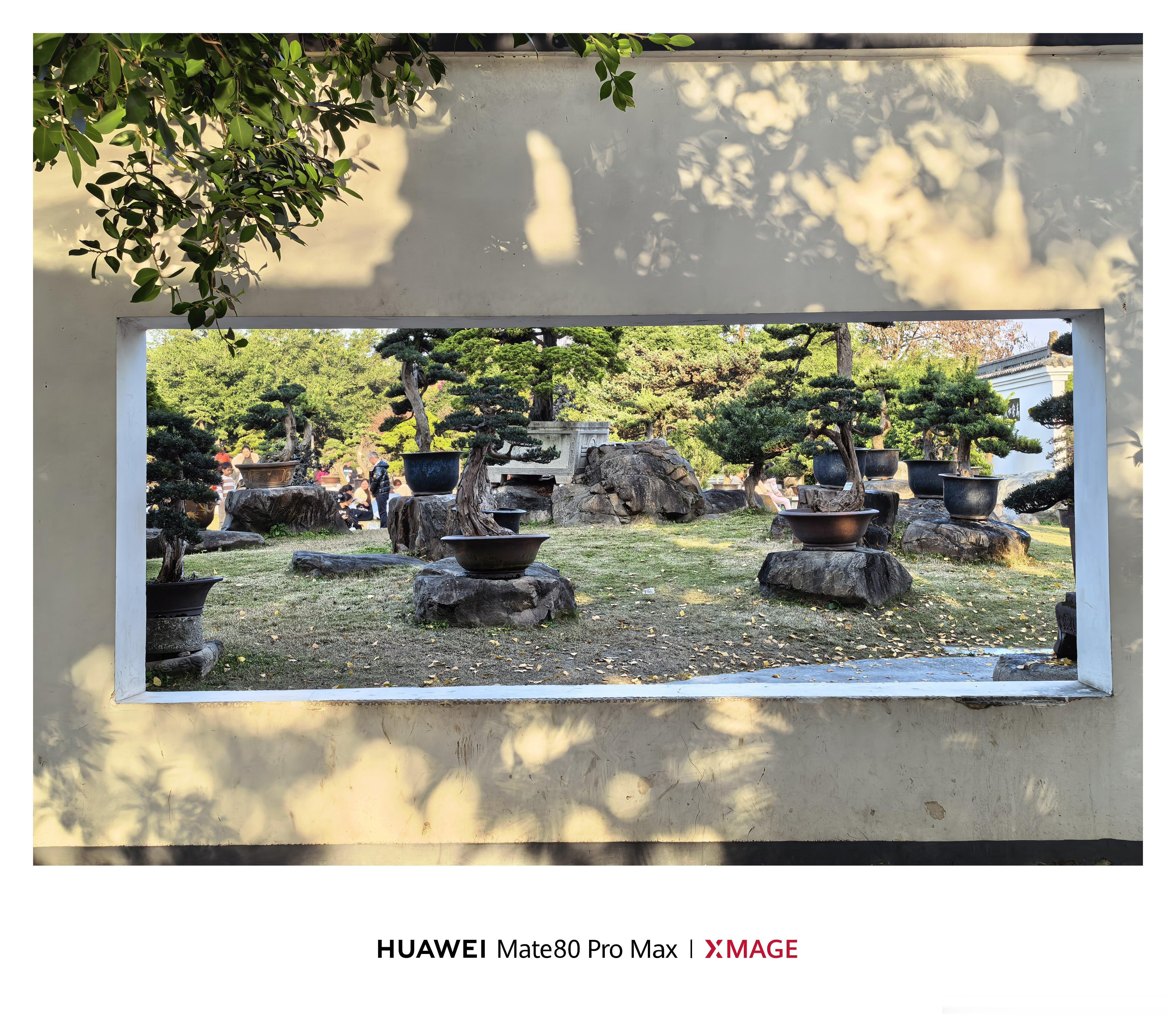 今天的成都，又是大大大晴天，遛弯走起公园里，到处都长满了晒太阳的人，停车停了好久