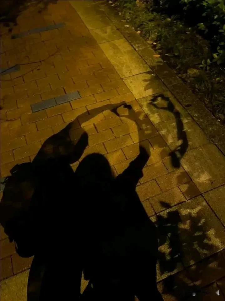 陪伴家人的一天，昨天老爸老妈突然袭击到兰州，哥哥在财政厅开会，住金海悦，嫂子也住