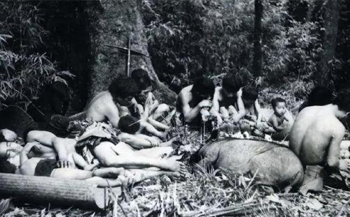 1956年，部队在 云南 原始森林深处，发现一群衣不蔽体、蓬头垢面的男男女女。经