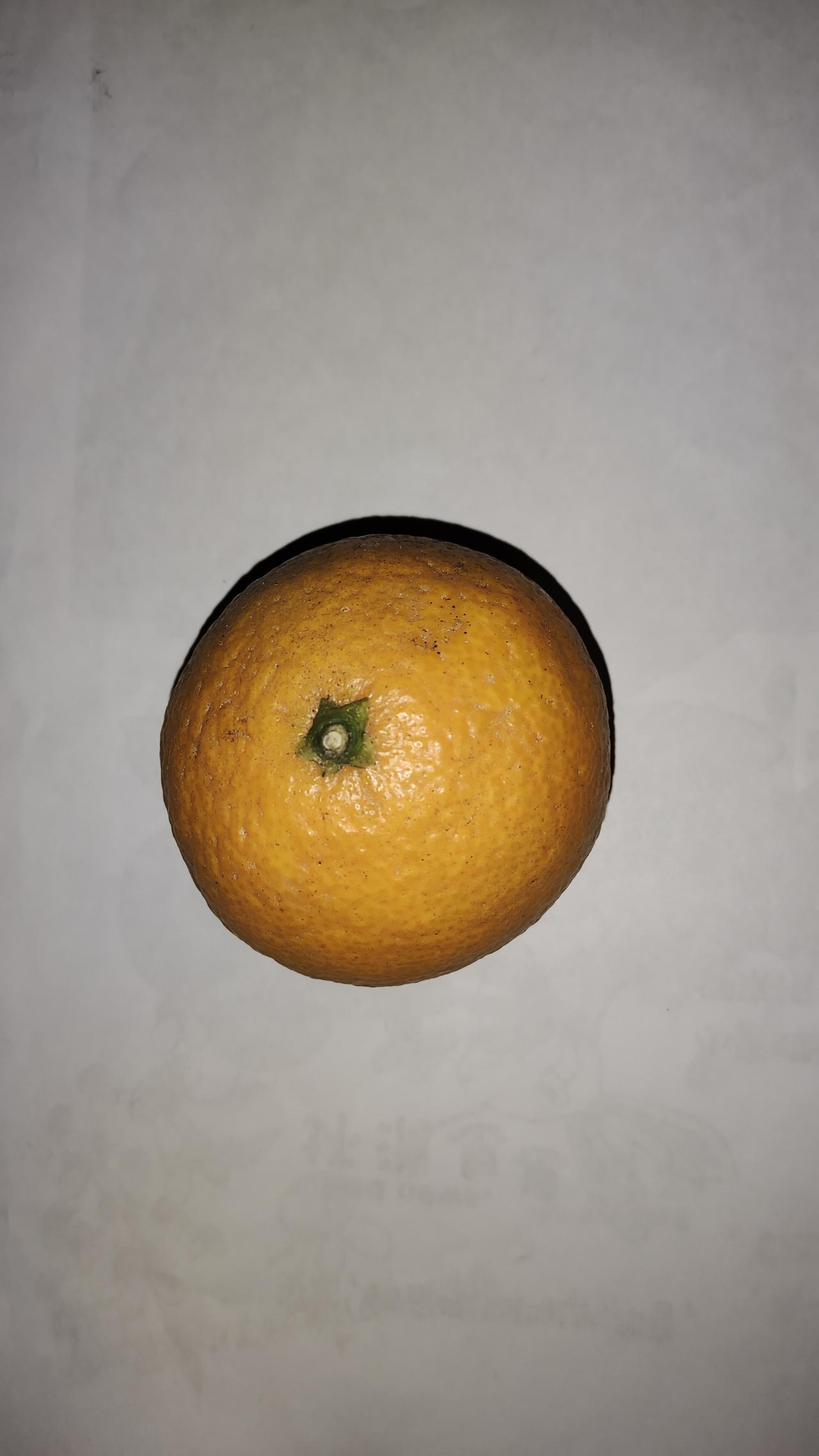 晒图笔记大赛这个水果叫什么名字？不是桔子哦，也不是橙子，更不是沃柑。我敢打赌，全