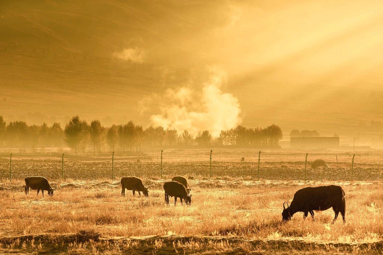 有很多的家长还不明白，为什么我们价格不便宜，还有很多人过来？昨天一位南师附中的学
