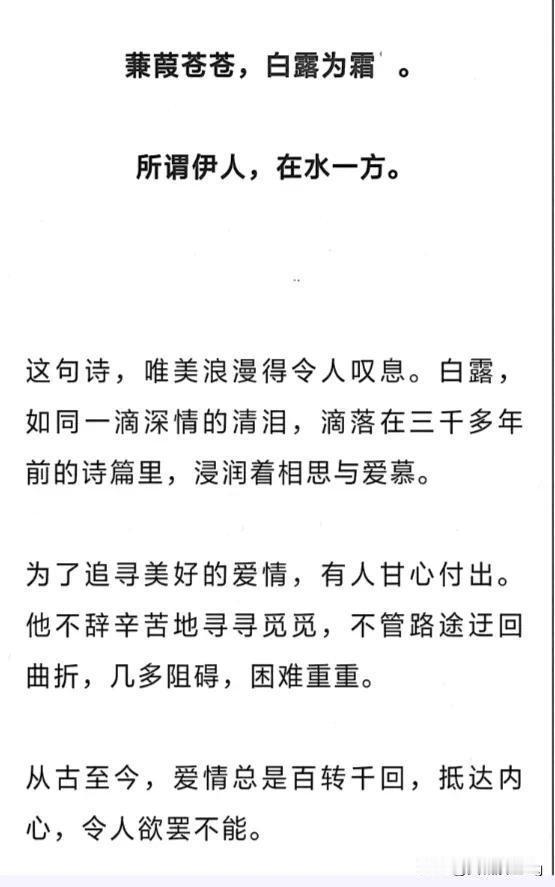 欣赏这句唯美浪漫的诗。