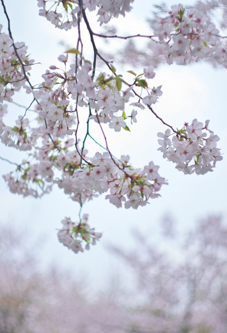 溜达下，发发汗 上海·徐汇滨江绿地
