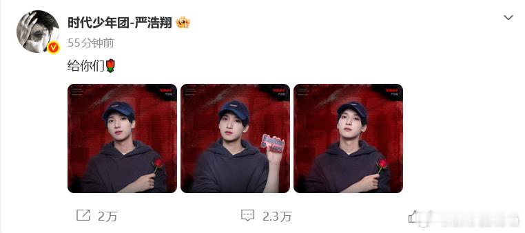 严浩翔520给粉丝的花求严浩翔同款拼豆图  严浩翔拼豆花了两小时，好有诚意的营业