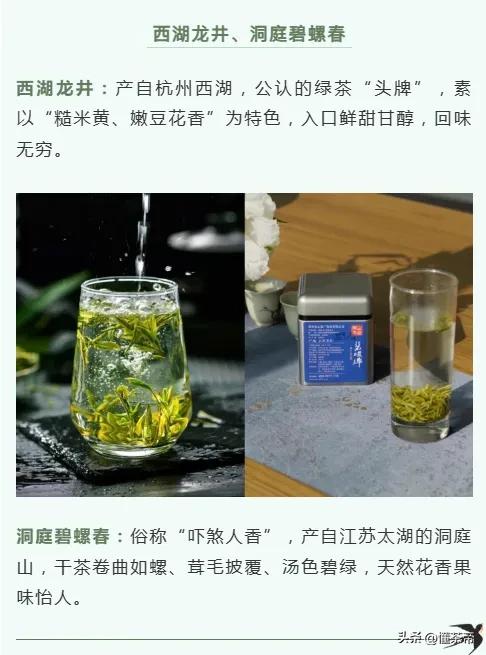 中国十大名茶中的“常客”，到底有多好喝？

“中国十大名茶”无疑是茶圈的金字招牌