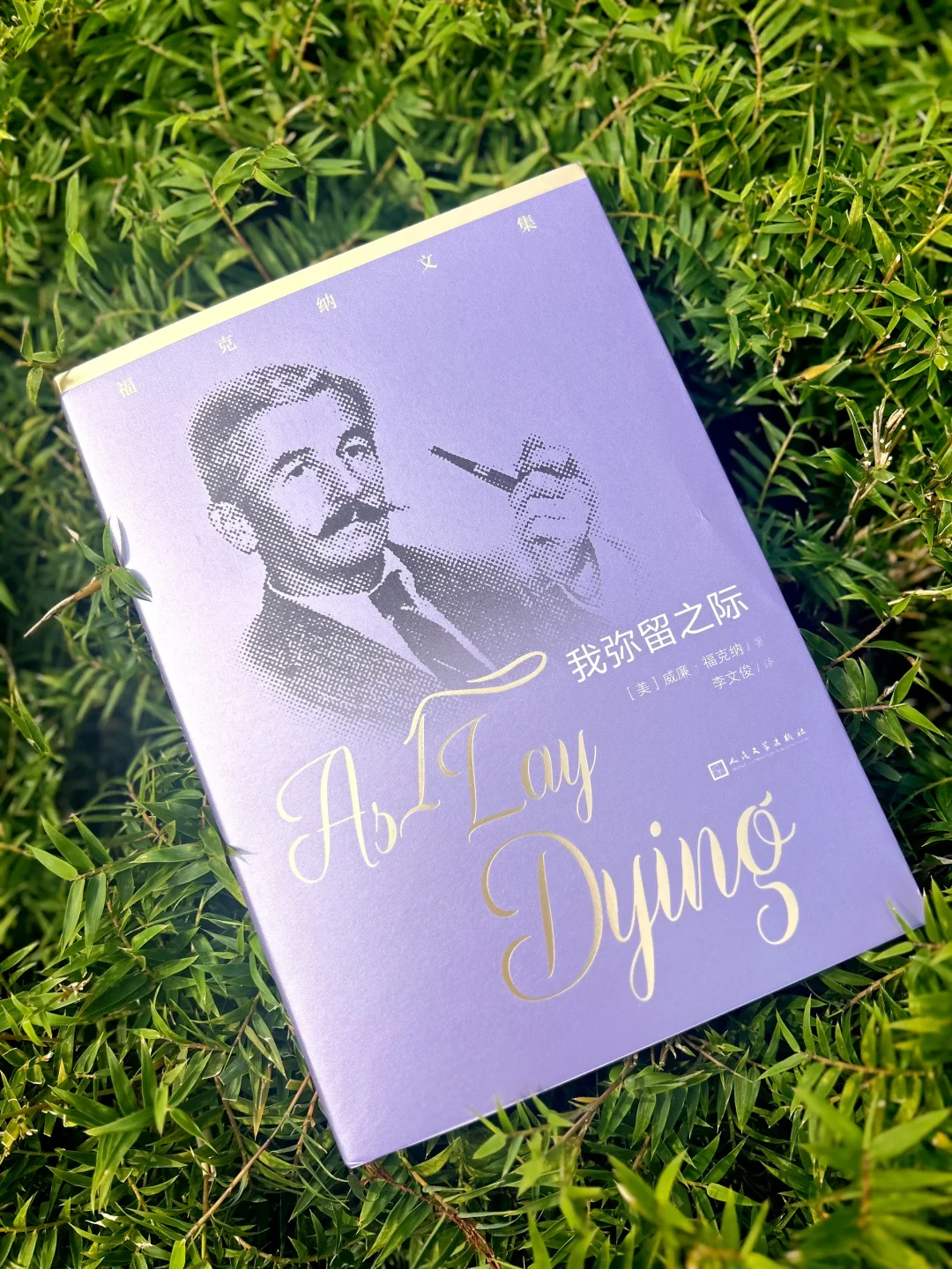 这本书让我见识了顶级的文学魅力