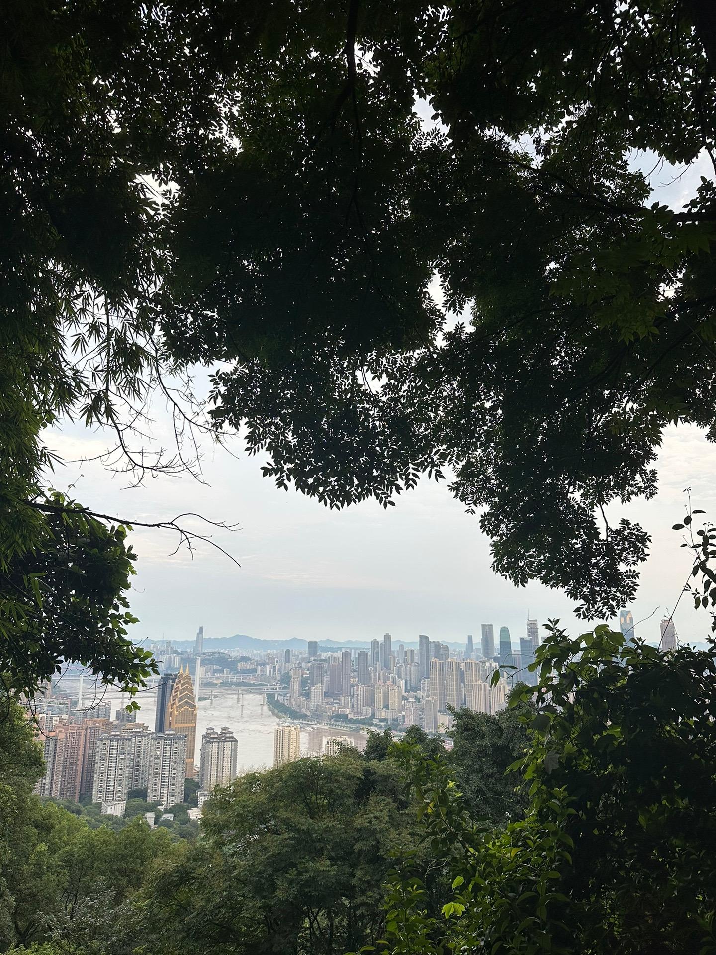 去年有位师傅跟我讲～面相会越修越好～🙏