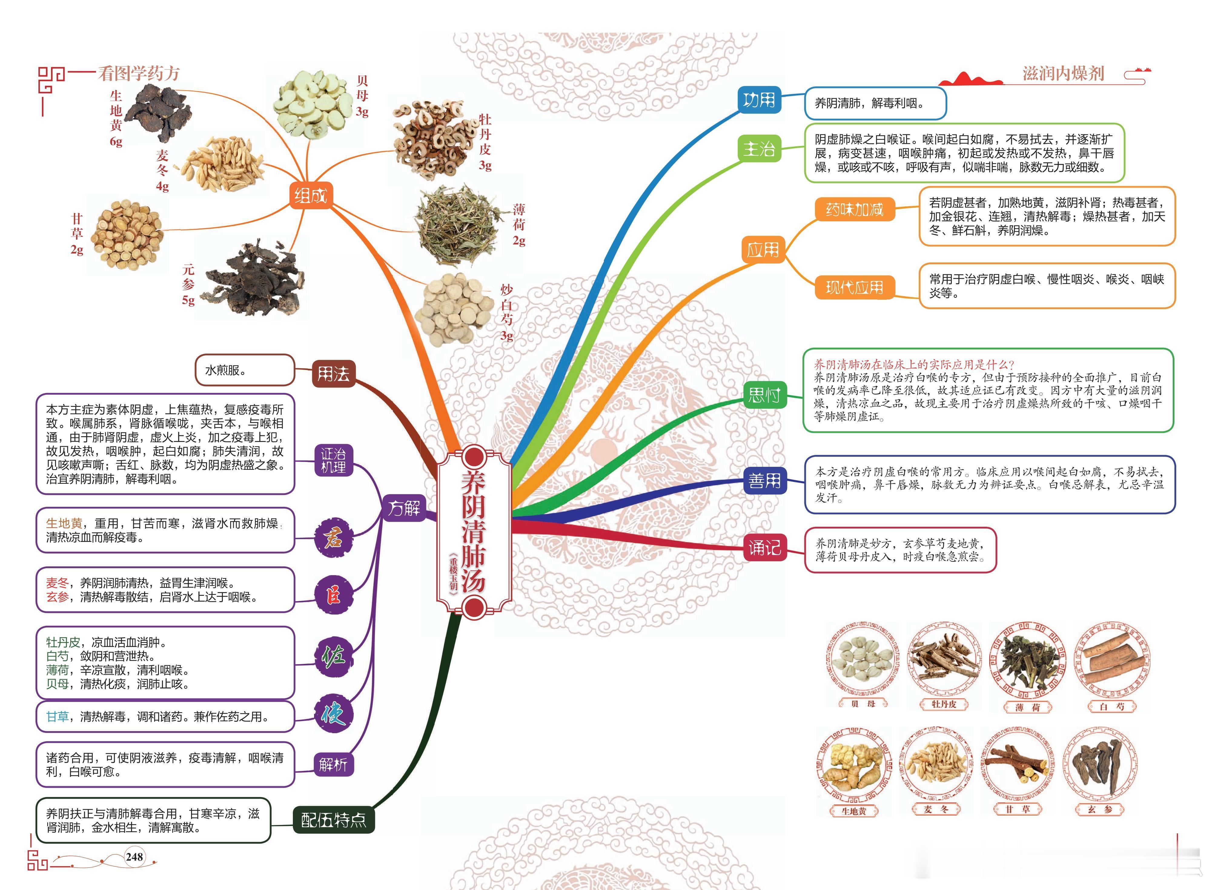 养阴清肺汤方剂图解 