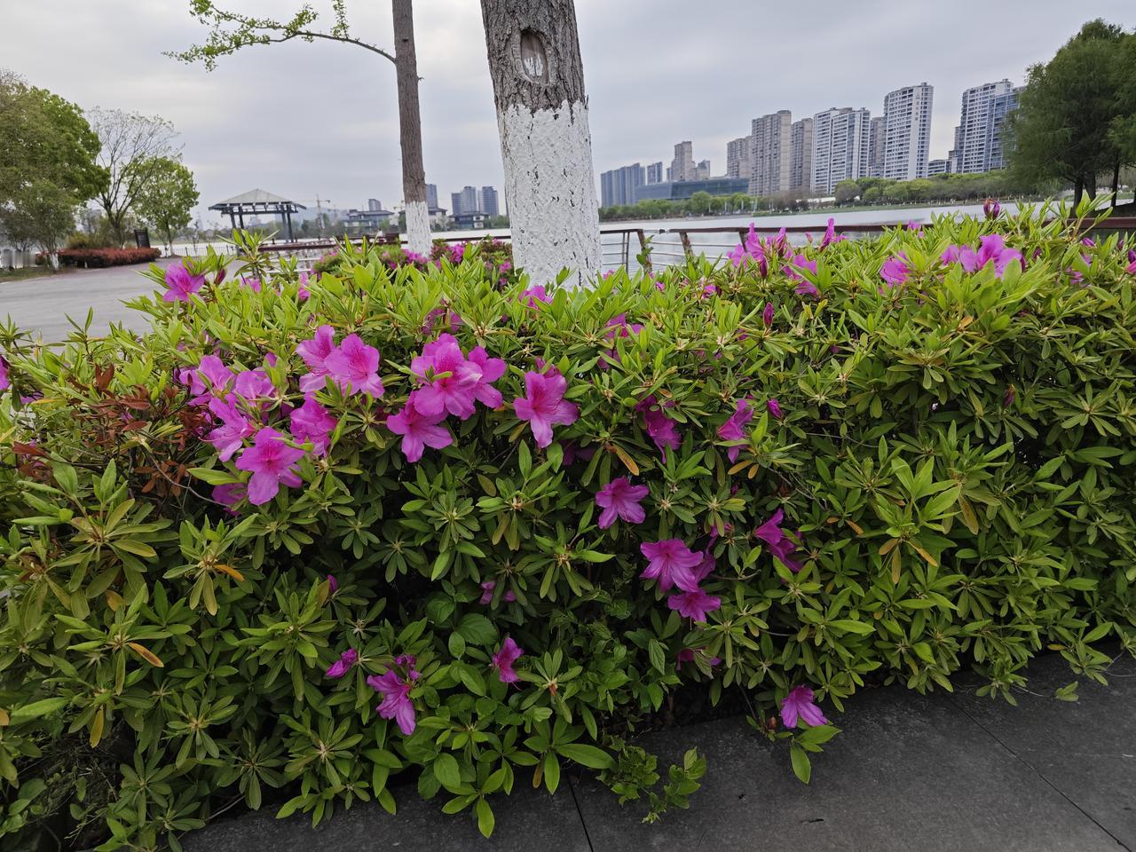 50岁以后，别瞎养了！养心，才是真续命！ 身体没毛病？别大意——心一乱，全身跟着