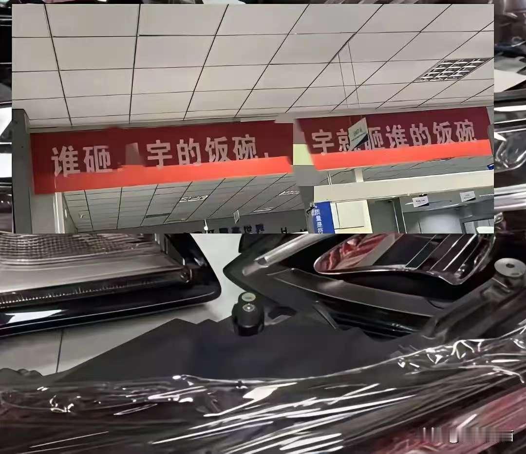 有人不免担心，
星宇这件事以后，将对企业走出去会产生更大的阻力！

欧盟美国什么