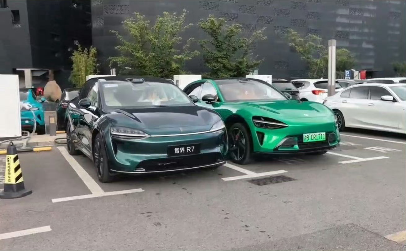 公平公正的来说吧，我觉得这两个绿色都一般，非要选择一个的话，我其实会比较看好智界