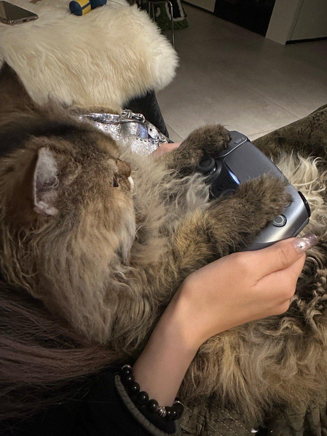 买了ps5后每天只想打游戏[泪] 
