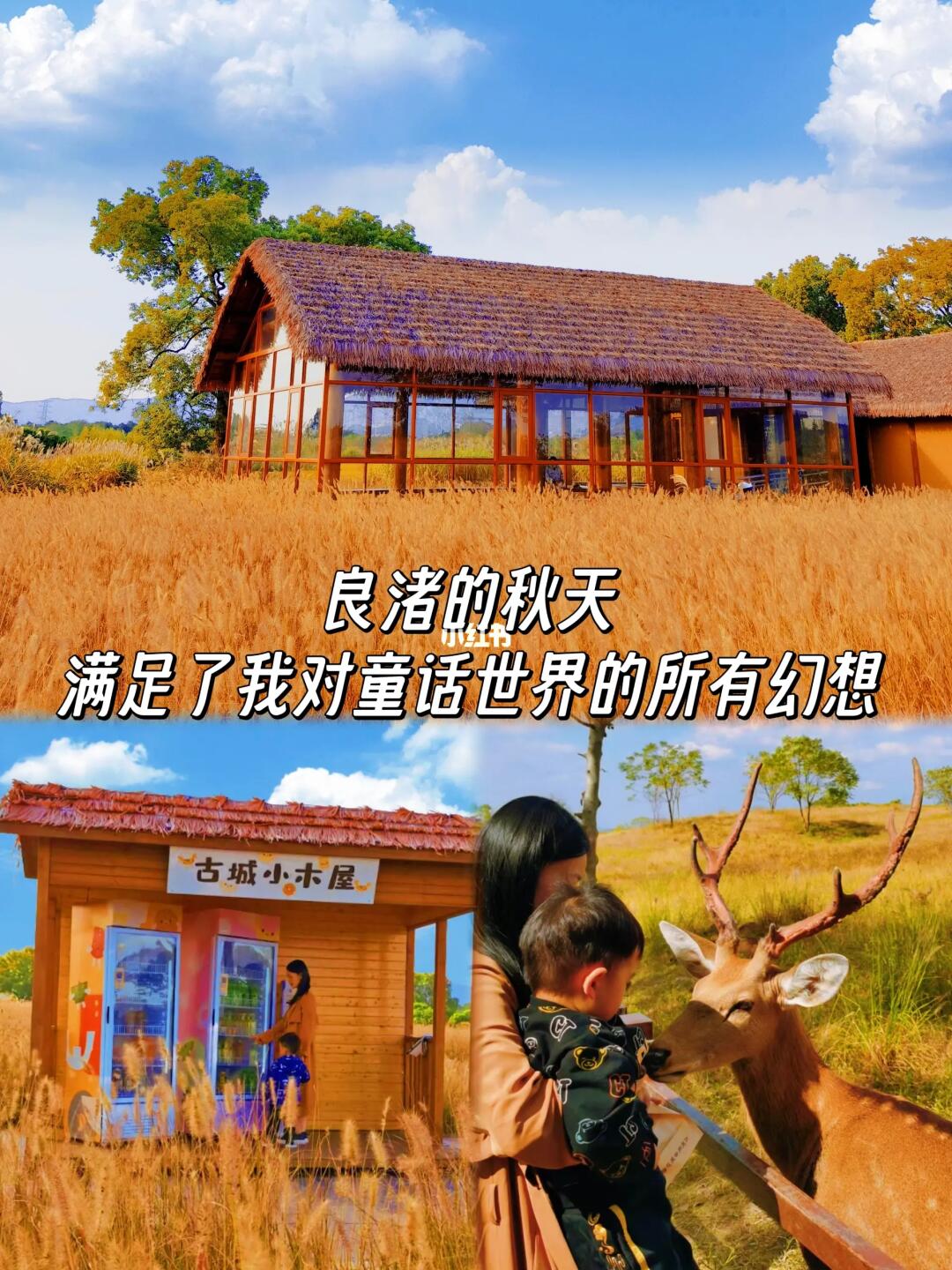 除了西湖，还要走这条绝美赏秋citywalk路线