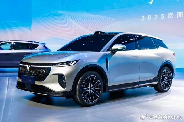 在2025岚图用户之夜惊艳登场，预计8月底正式上市，这可是岚图与华为联手，耗时1