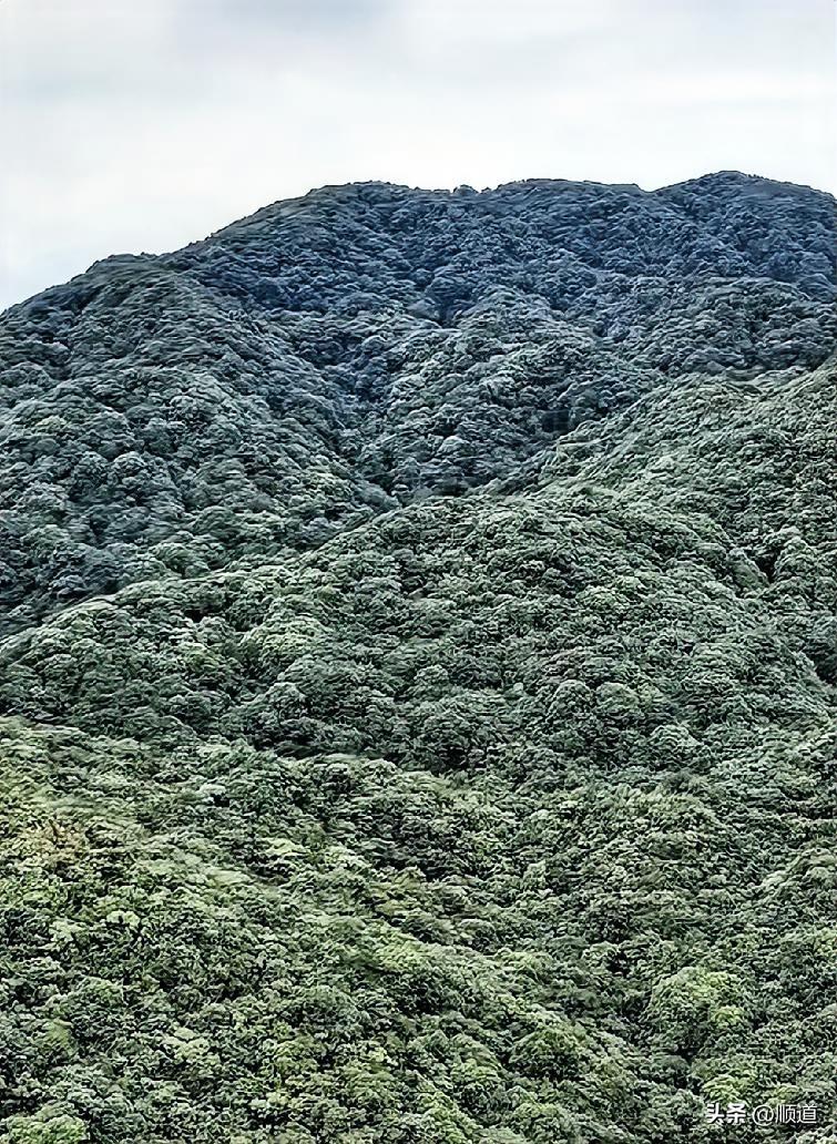我在快手上发布视频也有几年了。主要是分享一些我见到的，我以为的美景。
我的铁粉是