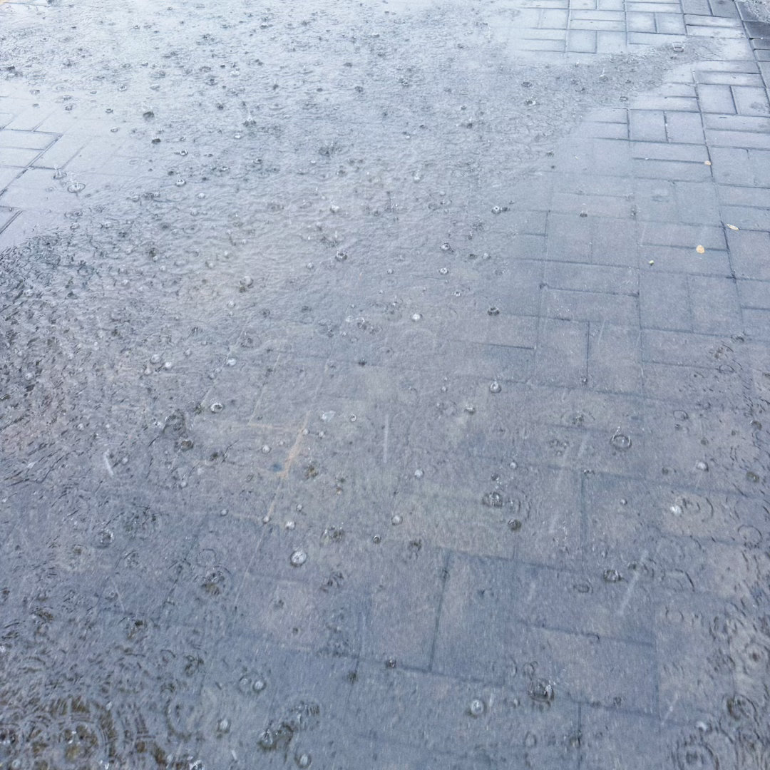 雨够了雨够了别下了 