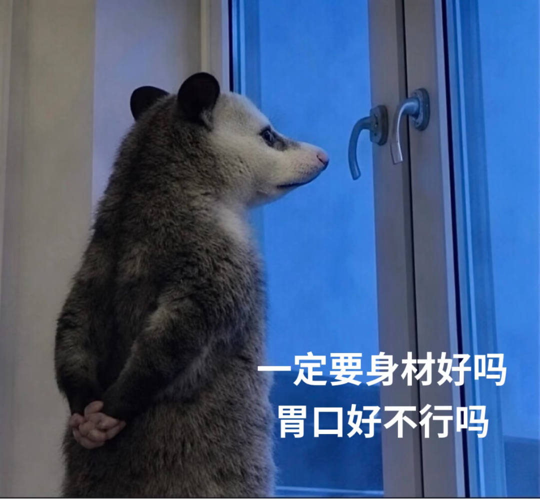 吃多了吃多了 我现在撑得不行 