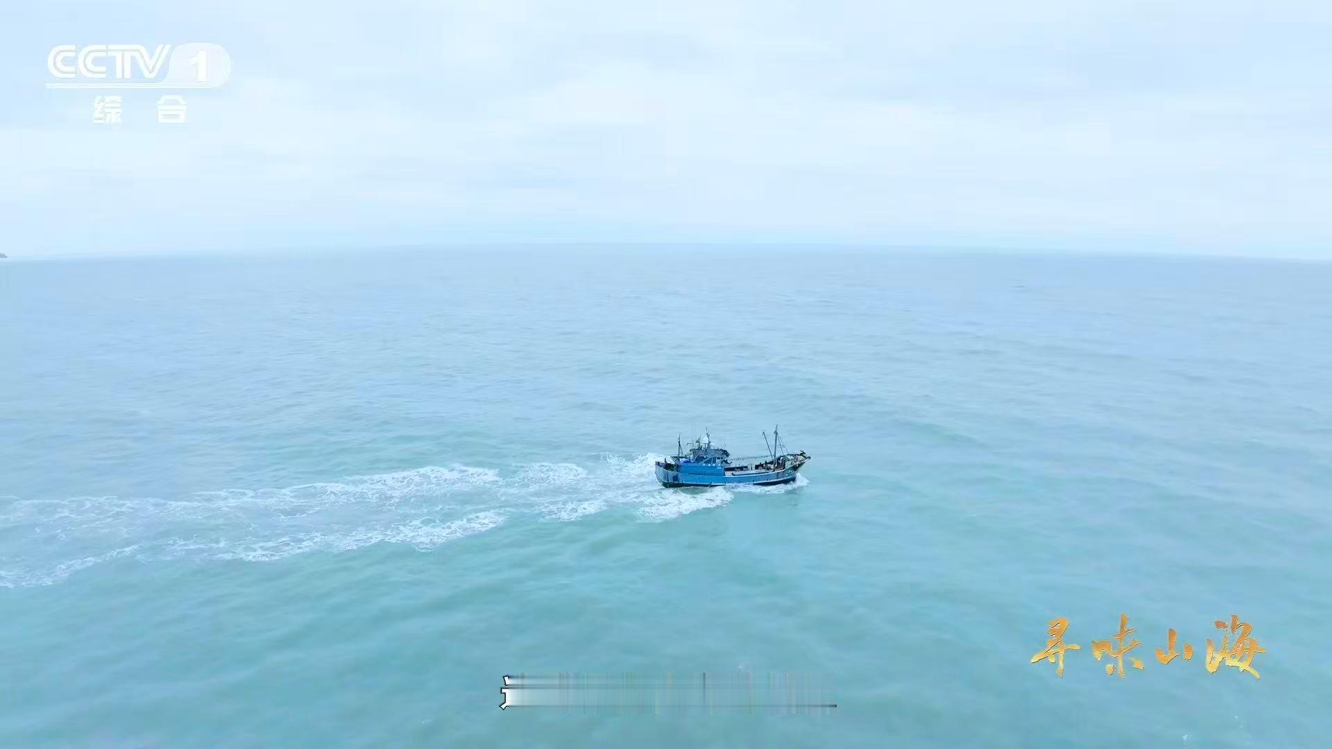 河豚牙口强得可怕福建人养出了无毒级河豚萌态与实力并存！河豚的咬合力令人惊叹，而漳