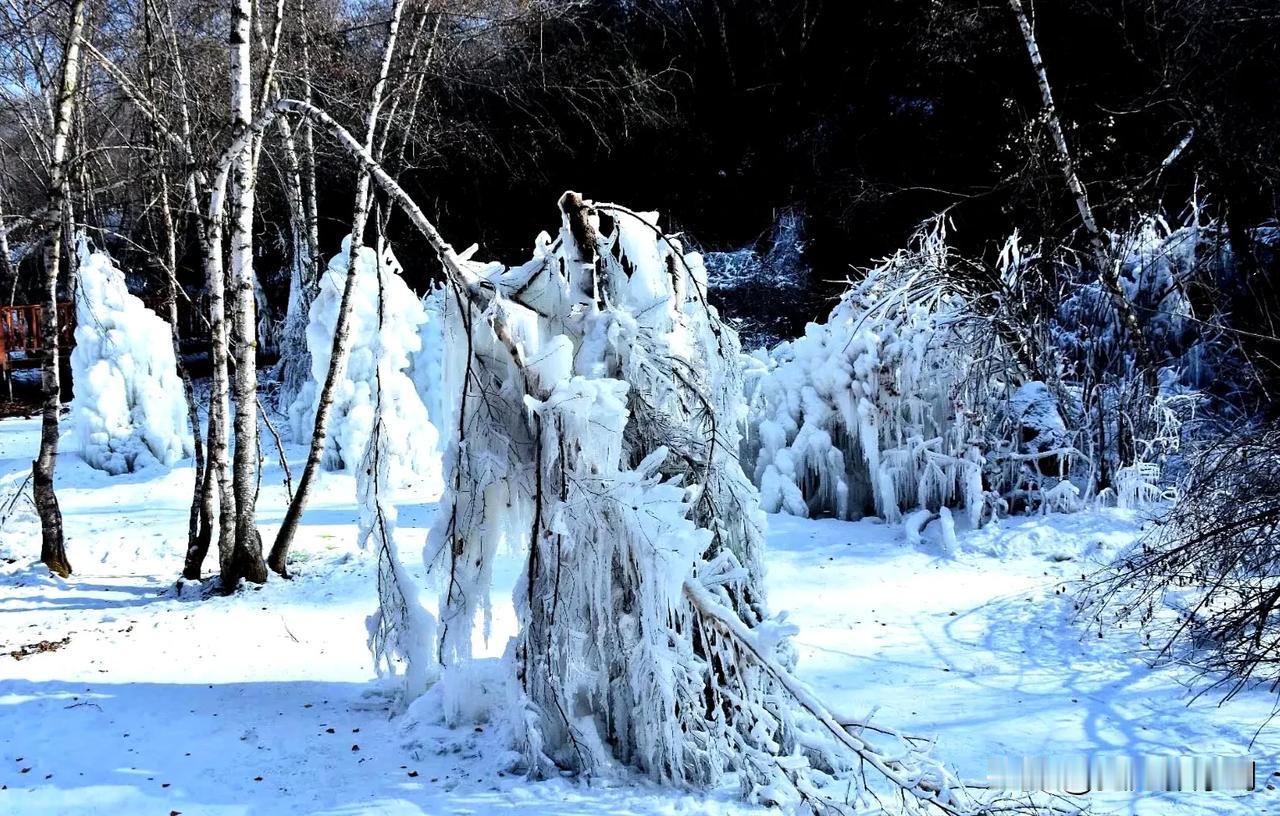 冬日冰雪奇缘
冬日纯美时刻 冬韵雪景 
冰封雪景