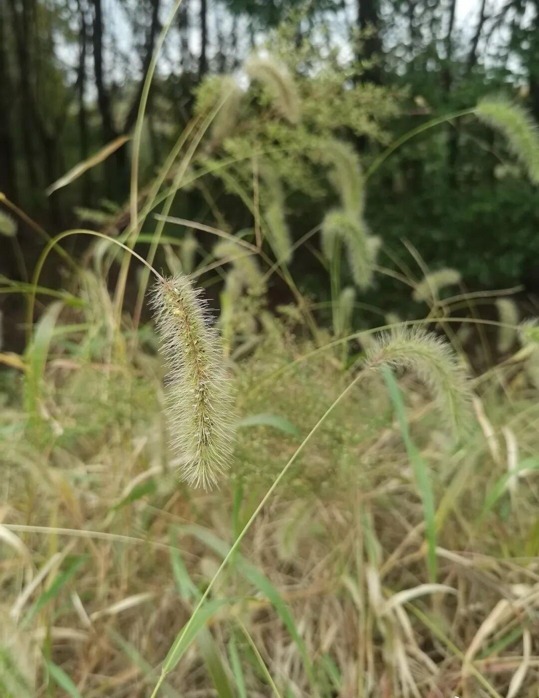 【江阴入冬了？】
网页链接