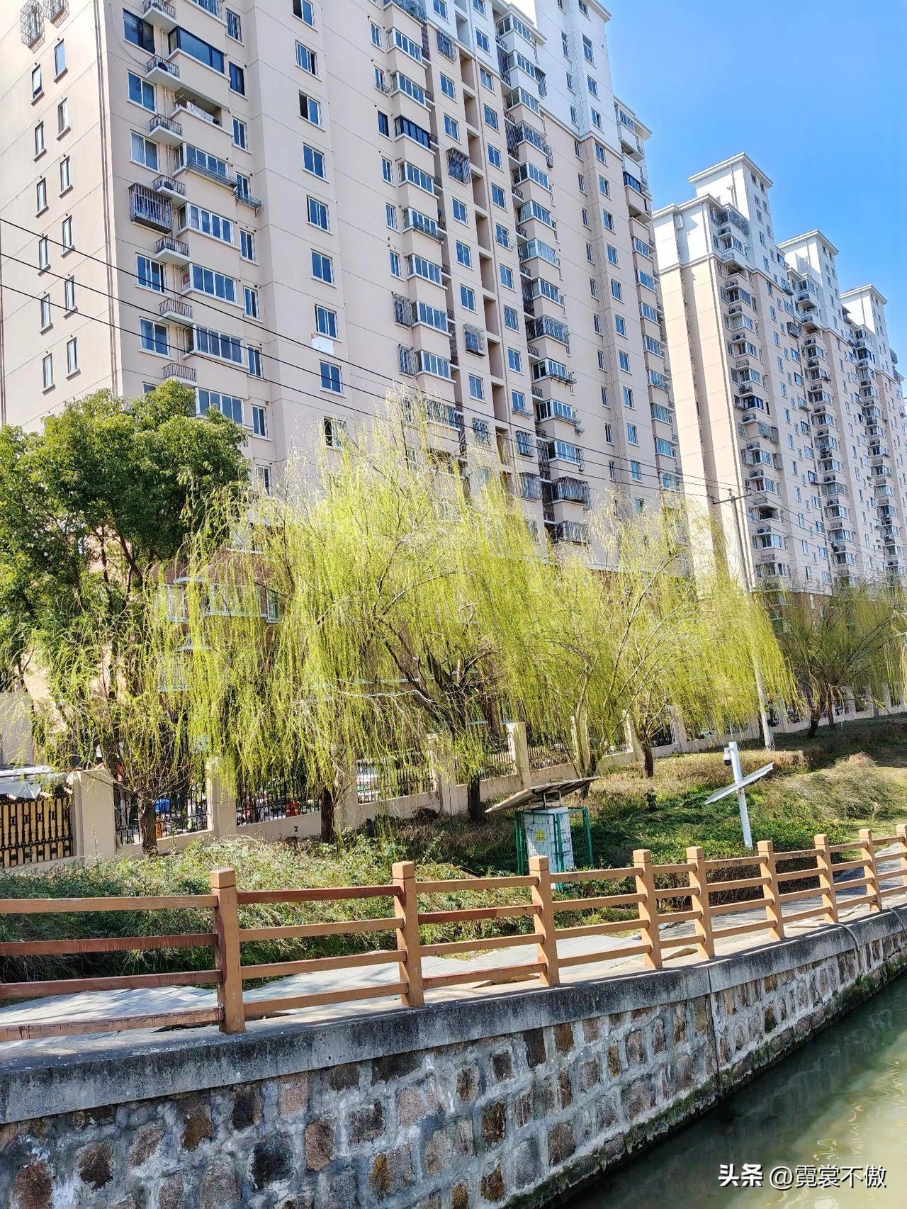 柳条吐黄惊雷响
春风又绿江南岸