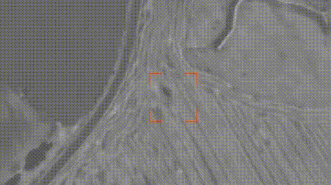 乌军控诉俄罗斯用上中国“反野猪雷达”，外国网友傻眼：中国农民都有相控阵？

近日