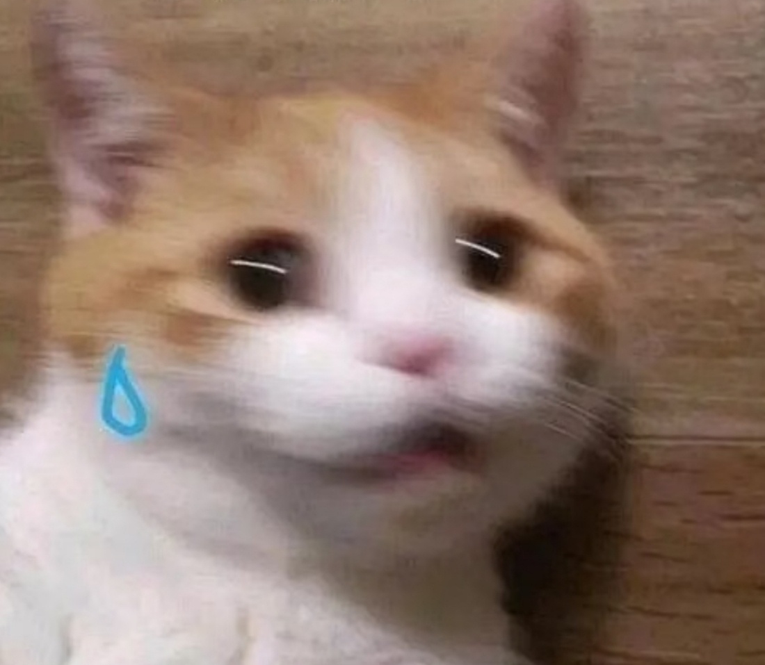 现在明星的代拍/私生像苍蝇跟着拍，没见过丧尸围城的可以看看私生