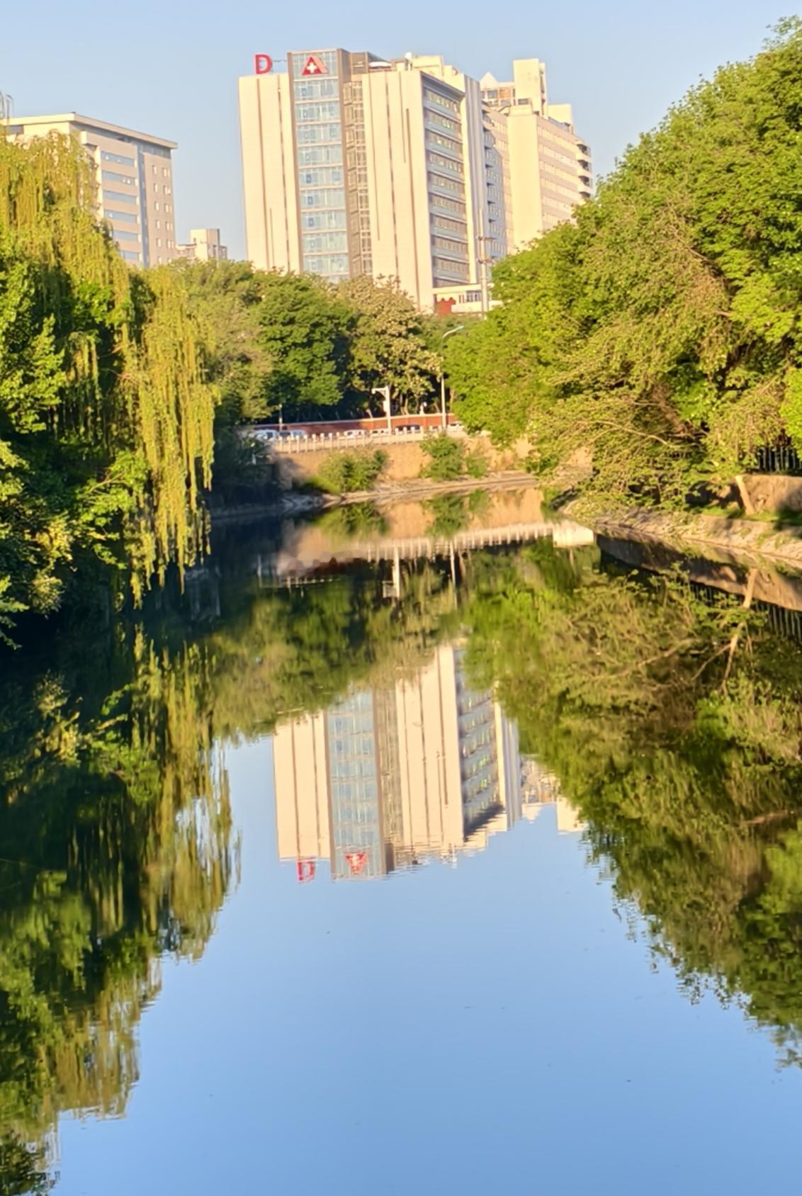 初夏的南运河，两岸绿树成荫。
远处的医院耸立在南运河边，朋友们能看出这是哪一家三
