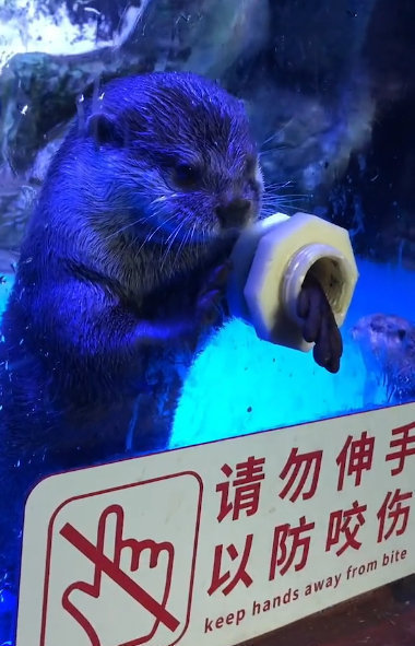 说了不要伸手，你还要伸手！ ​​​