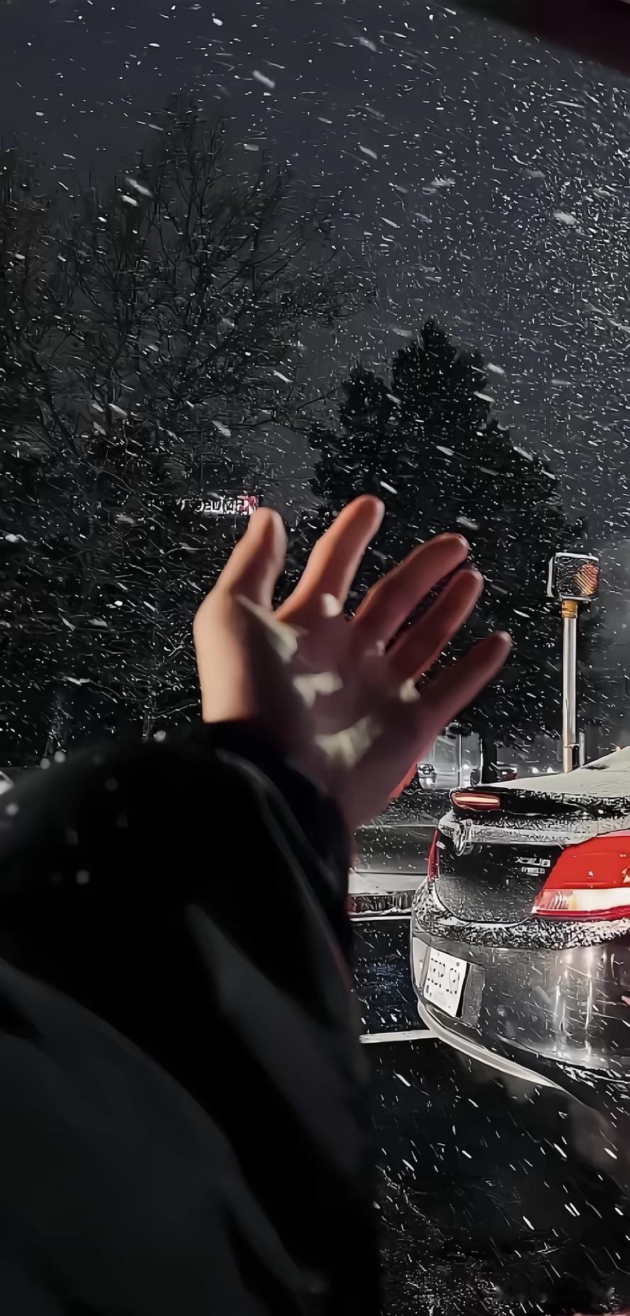 2026最想实现的一件事自得其乐，做自己的牛马！