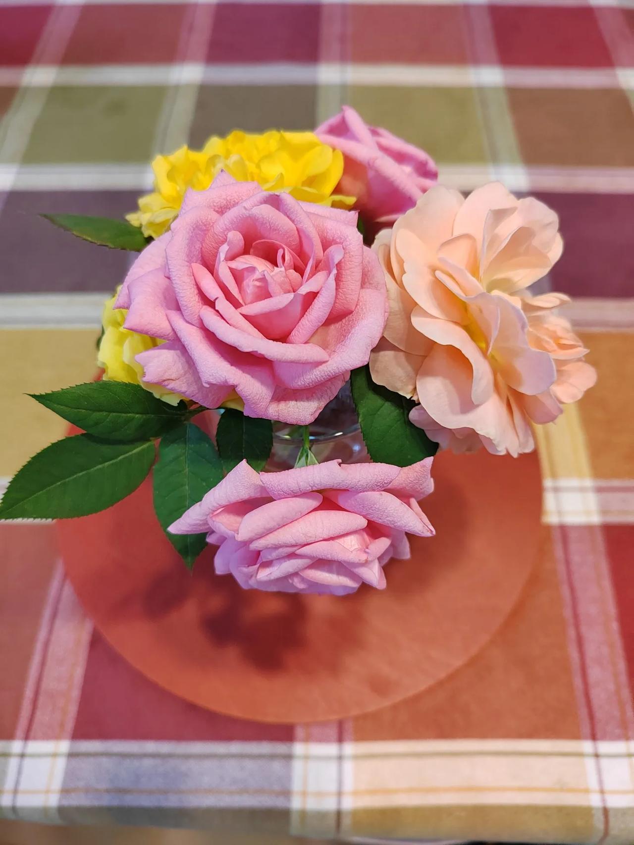 我种了点儿月季花三种颜色插个小花瓶挺不错

喜欢花就种了些好养的
只需要浇浇水施